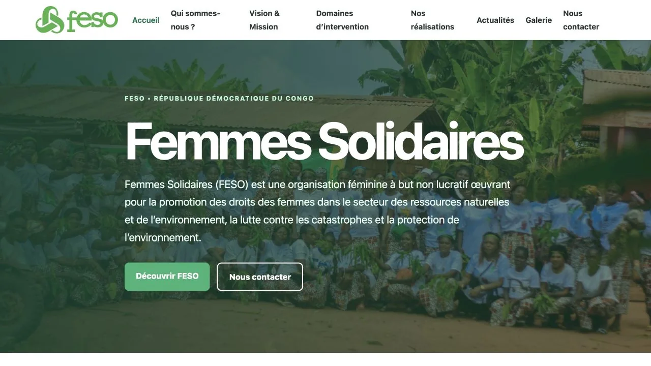Aperçu du site web FESO