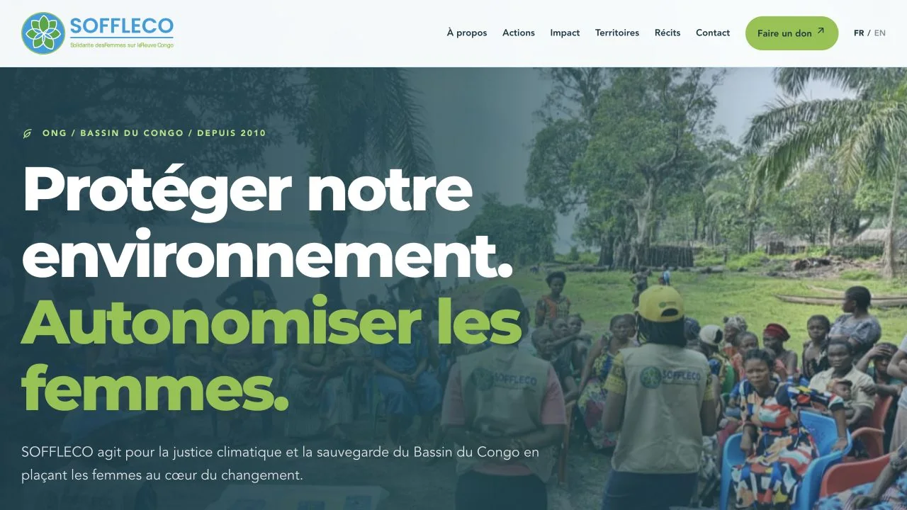Aperçu du site web SOFFLECO